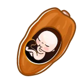 هفته یازدهم بارداری