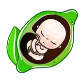 هفته داوزدهم بارداری