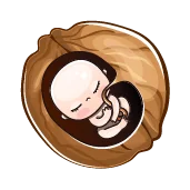 هفته سیزدهم بارداری