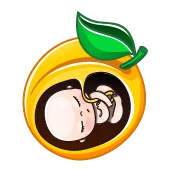 هفته چهاردهم بارداری