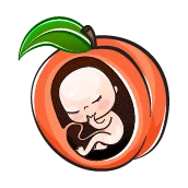 هفته شانزدهم بارداری