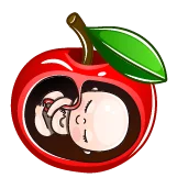 هفته هجدهم بارداری