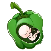 هفته نوزدهم بارداری