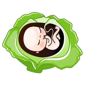 هفته بیست و چهارم بارداری