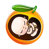 هفته بیست و پنجم بارداری