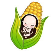 هفته بیست و ششم بارداری