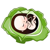 هفته سی و دوم بارداری