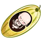 هفته سی و هشتم بارداری