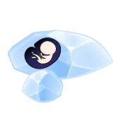 هفته چهارم بارداری