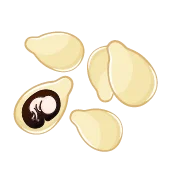 هفته پنجم بارداری