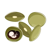 هفته ششم بارداری