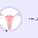 هفته اول بارداری، آغاز یک سفر شگفت‌ انگیز