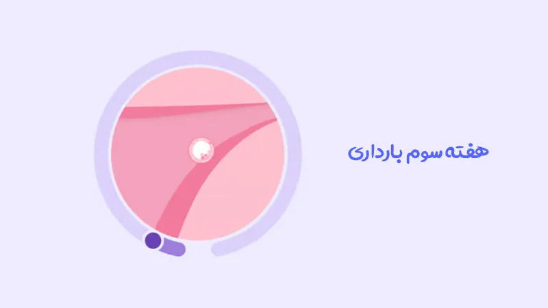 هفته سوم بارداری؛ جرقه ای برای آغاز یک معجزه!