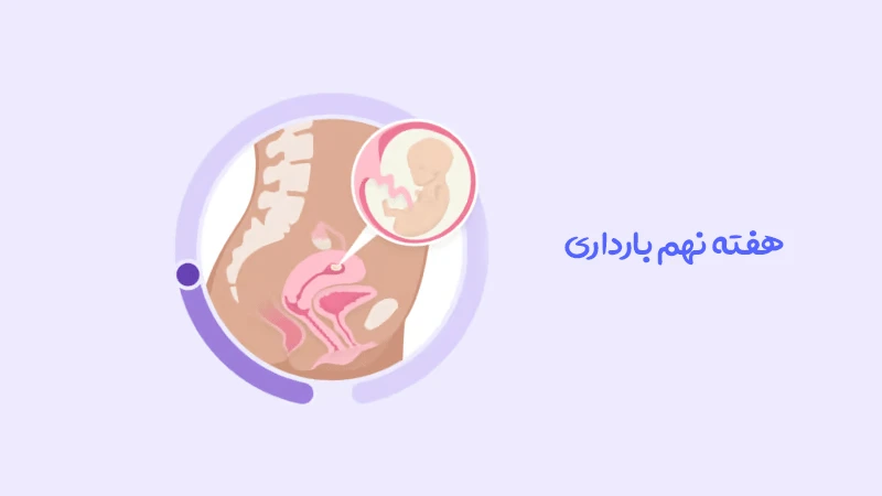 هفته نهم بارداری؛ تغییرات شگفت‌ انگیز در بدن شما و جنین