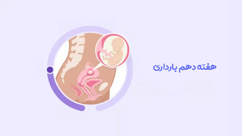 هفته دهم بارداری؛ از علائم تا مراقبت‌ های ضروری