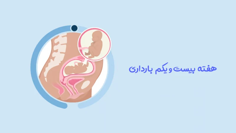 هفته بیست و یکم بارداری؛ رشد جنین، علائم مادر و مراقبت های مهم